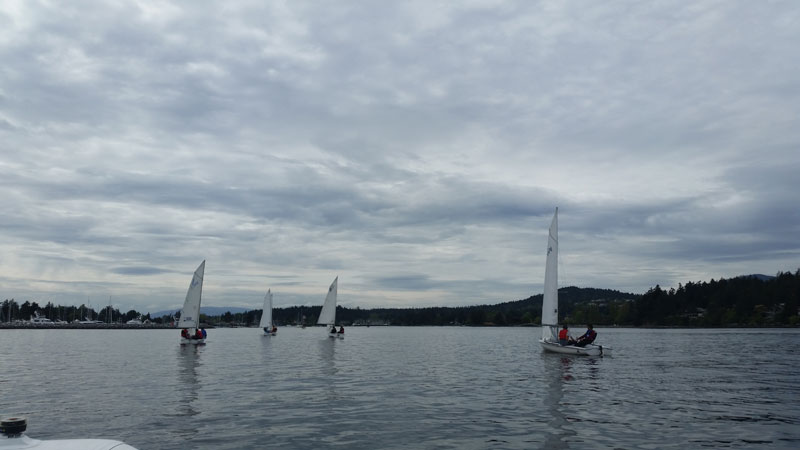 parkland sailing academy photos