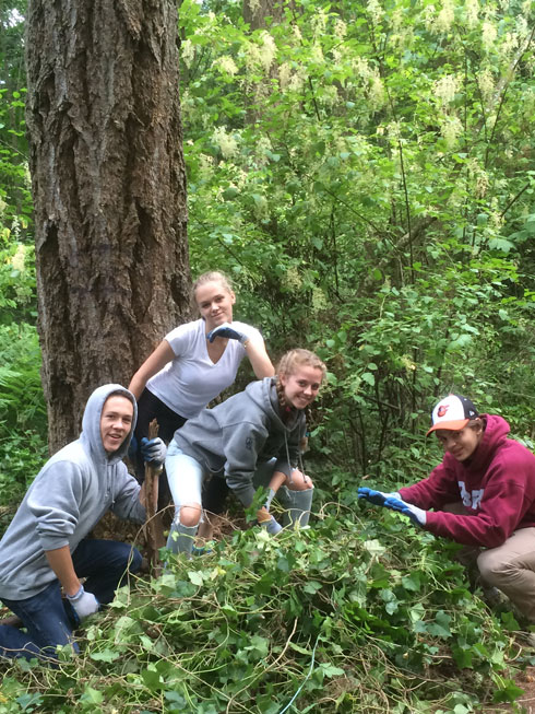 Marine students remove Ivy from trees in local forest