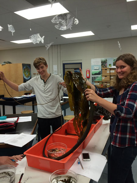 Marine Biology 11 students hands-on learning in class at Camosun