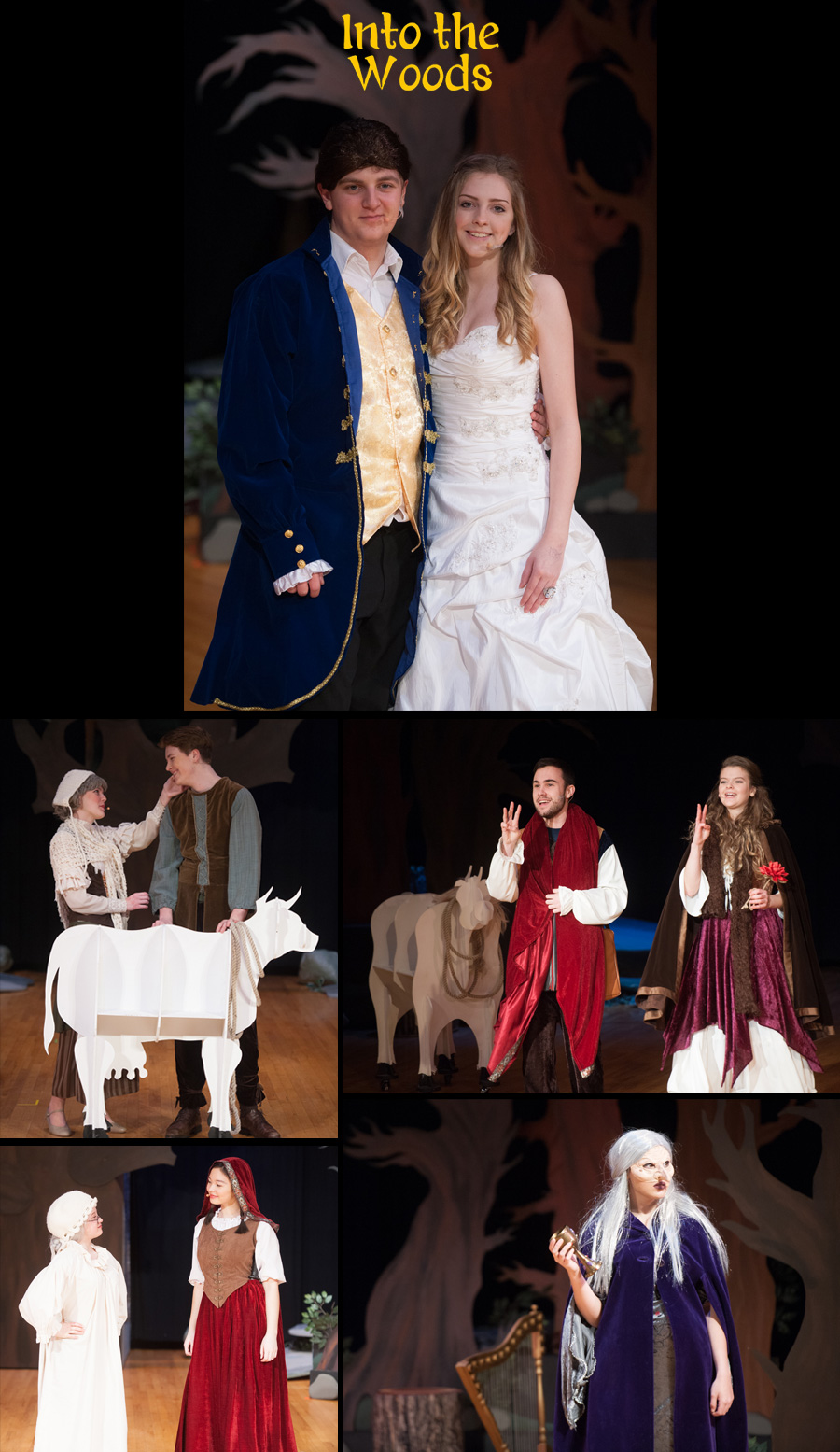 Into The Woods Photos